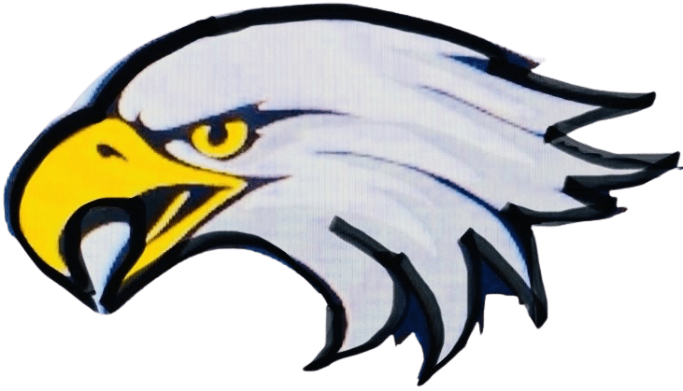 A plain white square with no visible content or elements.